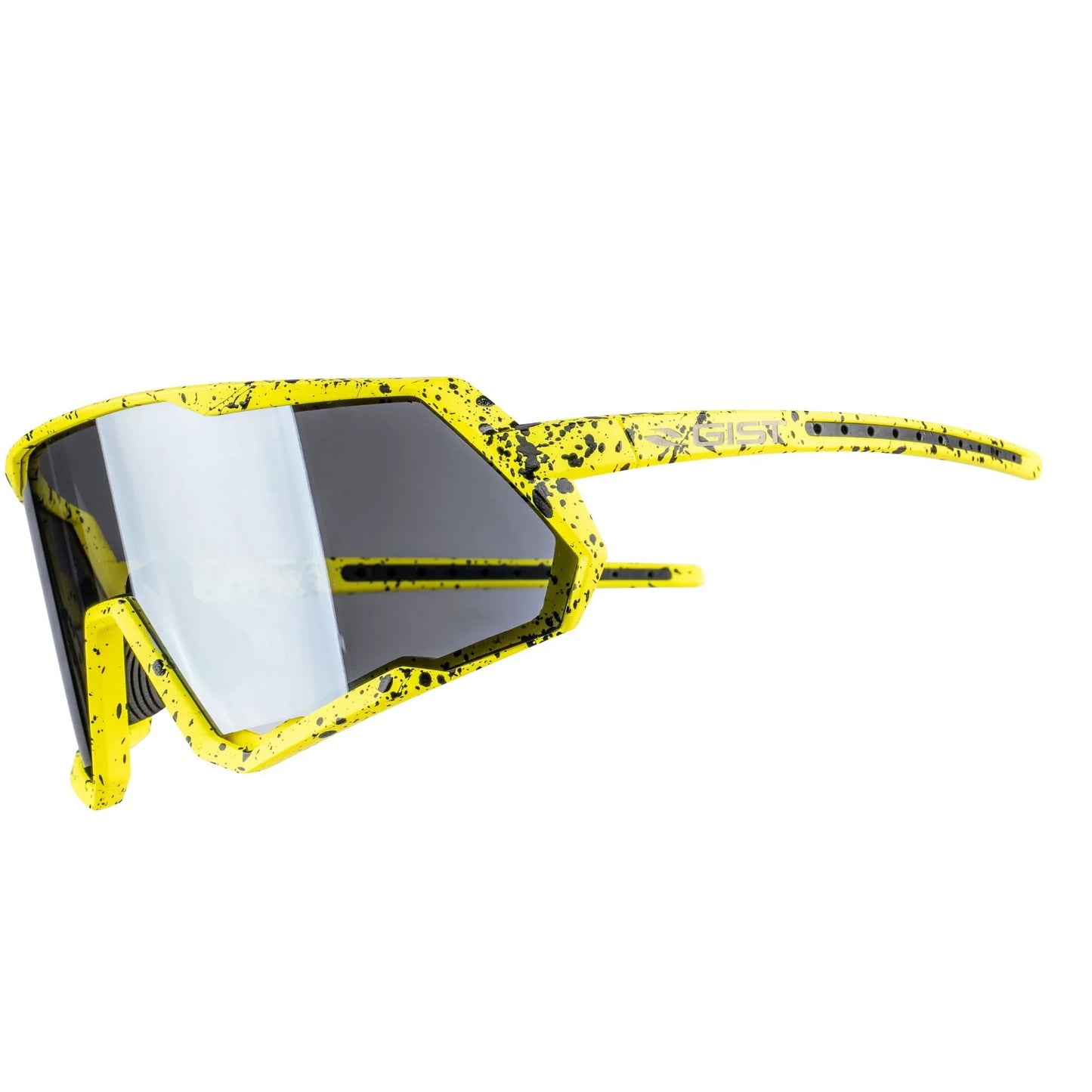 Lunettes de masque Gist