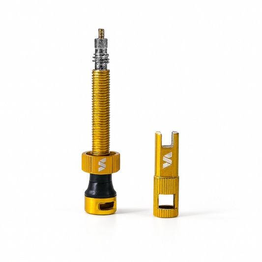 AirLock Plus Core+Spoke WR Tubeless-Schaltventile (1cp)