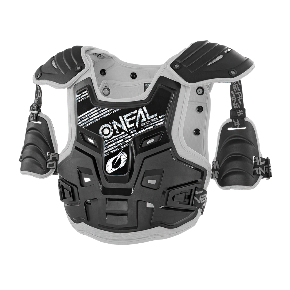 Ptarina PXR Steinschild