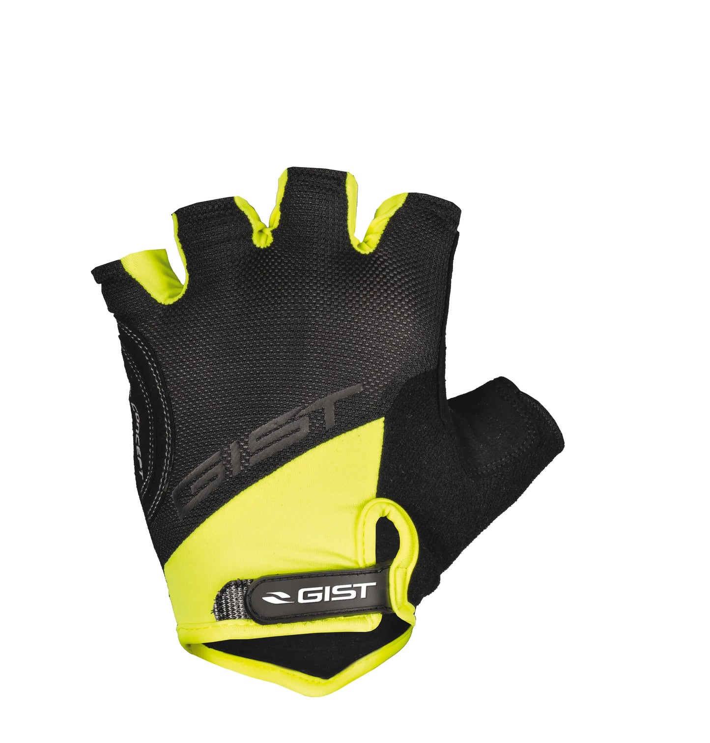 GIST - D-Grip