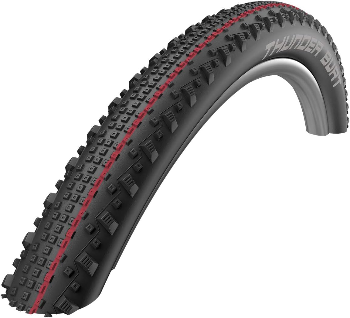 Schwalbe Thunder Burt Addix Speed ​​tl-Easy Rolling Turing 29x2.25