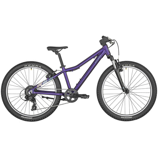 Bergamont Revox 24" Purple