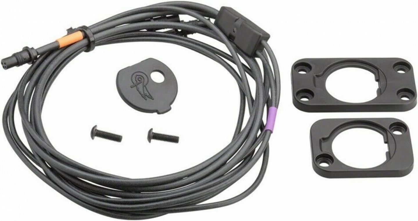 Campagnolo Super Record EPS Internal Interface Wiring