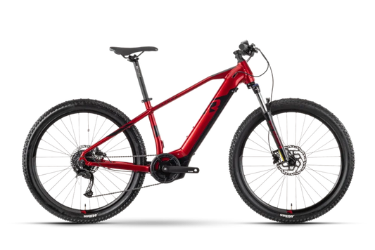 Raymon Hardray et 4.0