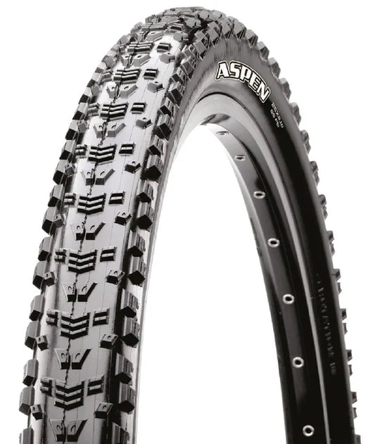 Maxxis Aspen maxxspeed exo cemoil Ready 29x2.25