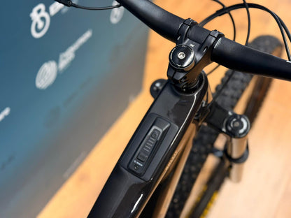 SANTA CRUZ Bullit 4 C 70 - DEMO TEST - Größe M - 312 km