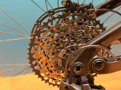 SANTA CRUZ Bullit 4 C 70 - DEMO TEST - Größe M - 312 km