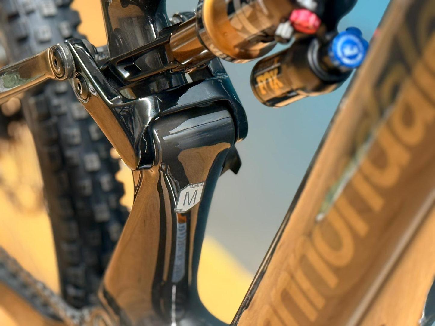 Cannondale Moterra Carbon SL1 - Prueba de demostración - Tamaño M - 907 kilometros