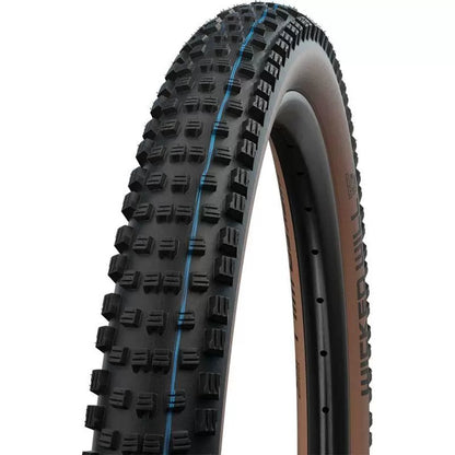 Schwalbe Wicked Wicked Schwalbe Speed ​​GRIP TLE TRANSPARNE Skin 29x2.40